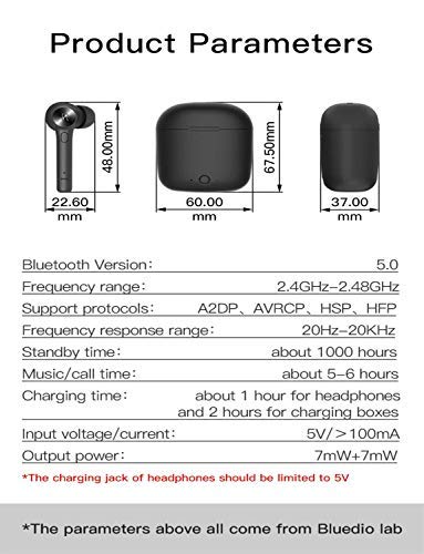 Bluetooth 5.0 Wireless Earbuds, Bluedio Hi(Hurricane) TWS Wireless Earbud Headphones in-Ear Earphones with Charging Case, Mini Car Headset Built-in Mic for Cell Phone/Running/Android, 5Hrs Playtime