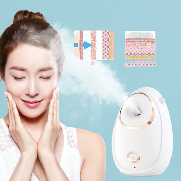 Home Facial Beauty Hot Spray Steaming Face Instrument