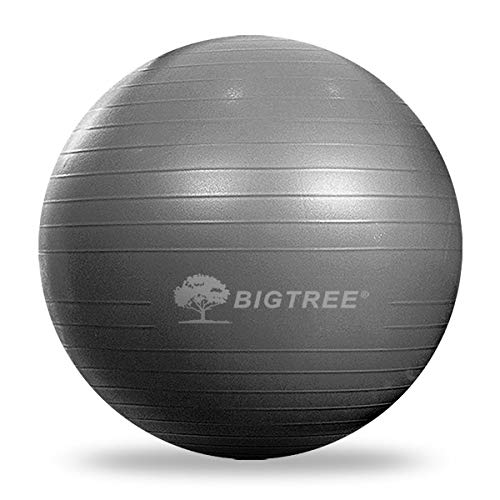 Bigtree Exercise Ball Extra Thick Yoga Ball Chair, Anti-Burst Heavy Duty Stability Ball, Birthing Ball with Quick Pump (Office & Home & Gym) (Silver, 55CM)