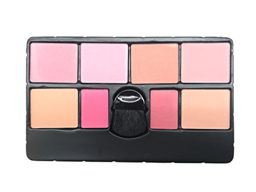 BR All In One Makeup Kit (Eyeshadow, Blushes, Powder, Lipstick & More) Holiday Gift Set (LightPink)