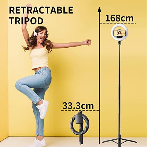 8" Selfie Ring Light with 66" Extendable Tripod Stand & Phone Holder, Portable Unplugged Dimmable LED Ringlight for Live Stream/Makeup/Tiktok/YouTube Video, Compatible with iPhone & Android