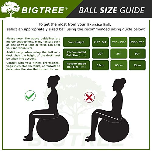 Bigtree Exercise Ball Extra Thick Yoga Ball Chair, Anti-Burst Heavy Duty Stability Ball, Birthing Ball with Quick Pump (Office & Home & Gym) (Silver, 55CM)