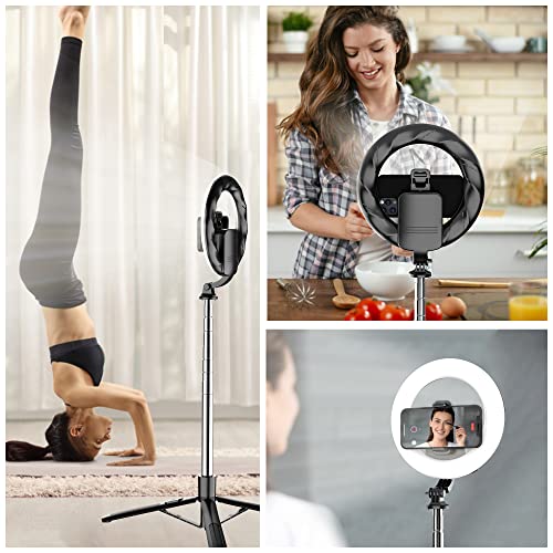 8" Selfie Ring Light with 66" Extendable Tripod Stand & Phone Holder, Portable Unplugged Dimmable LED Ringlight for Live Stream/Makeup/Tiktok/YouTube Video, Compatible with iPhone & Android