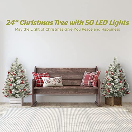 OasisCraft 24 Inch Outdoor Christmas Tree 2 Set, Pre-lit Mini Flocked Christmas Tree Artificial Pathway Xmas Tree 50 LED with Red Berries, Pine Cones for Porch Holiday Decor
