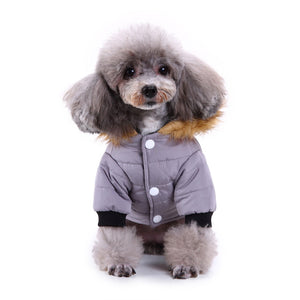 Winter clothing for pets
